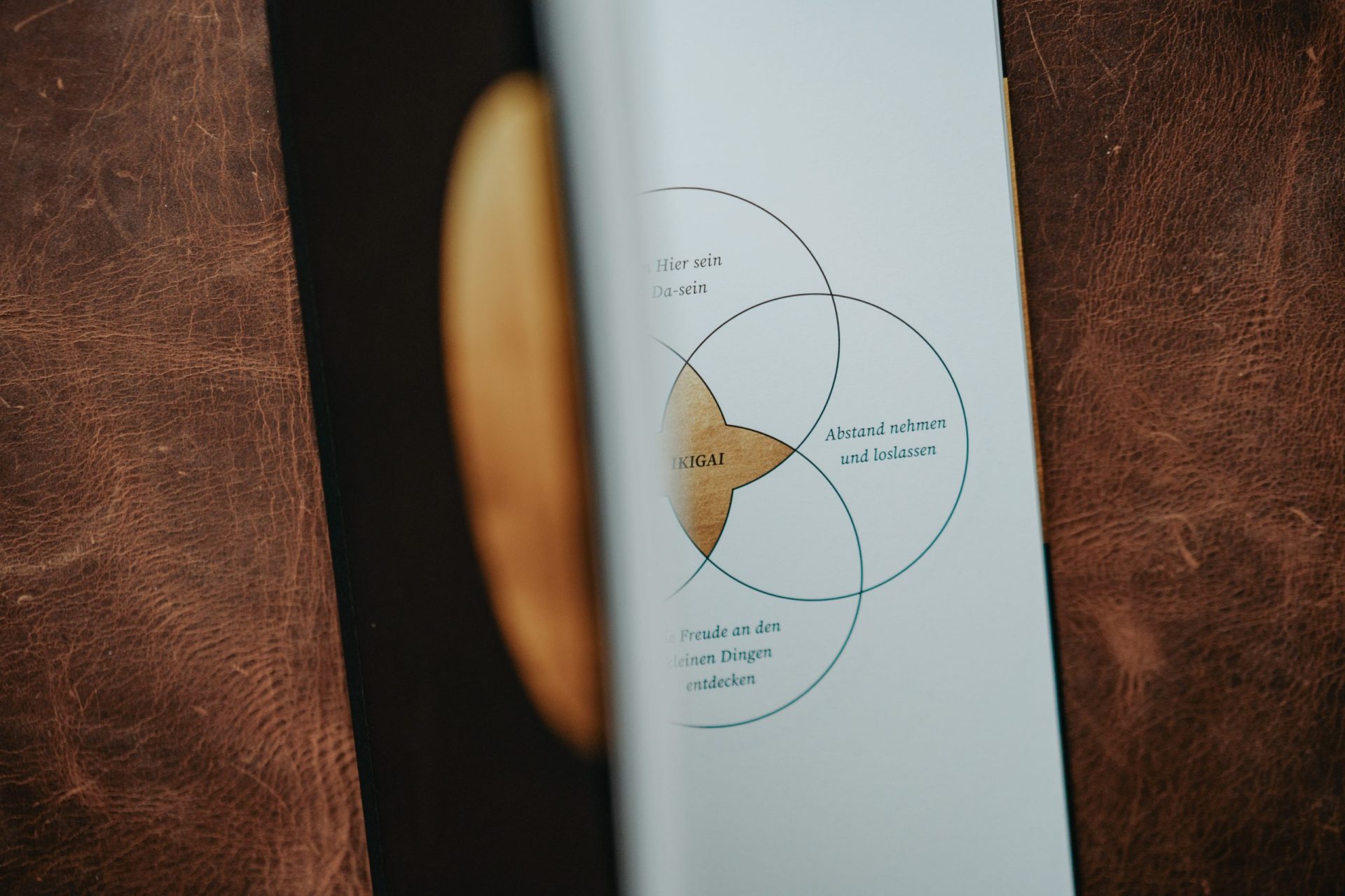 browsing Ikigai book with golden color in the middle